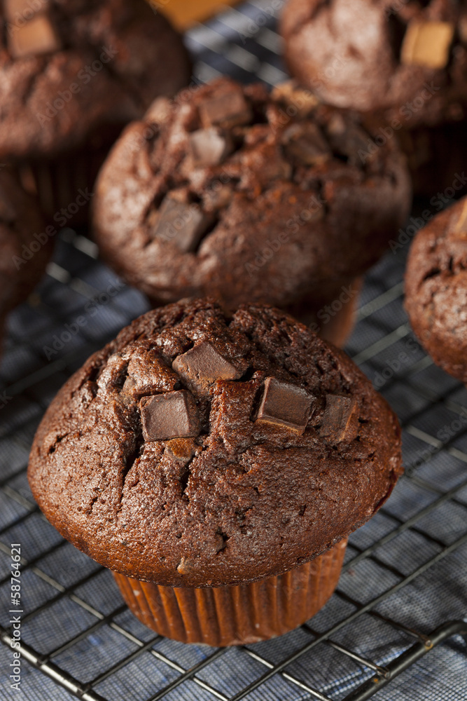 Fototapeta premium Double Chocolate Chip Muffin