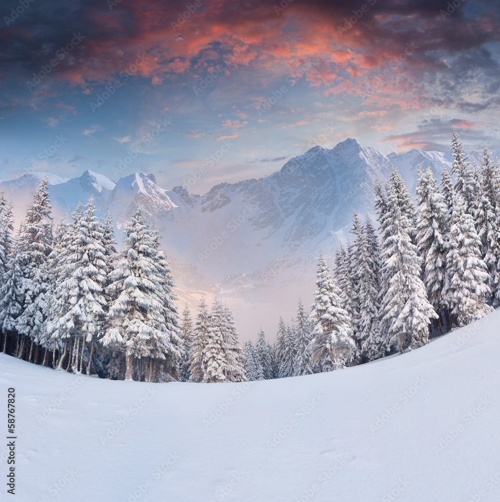 Beautiful winter landscape in the mountains. Sunrise