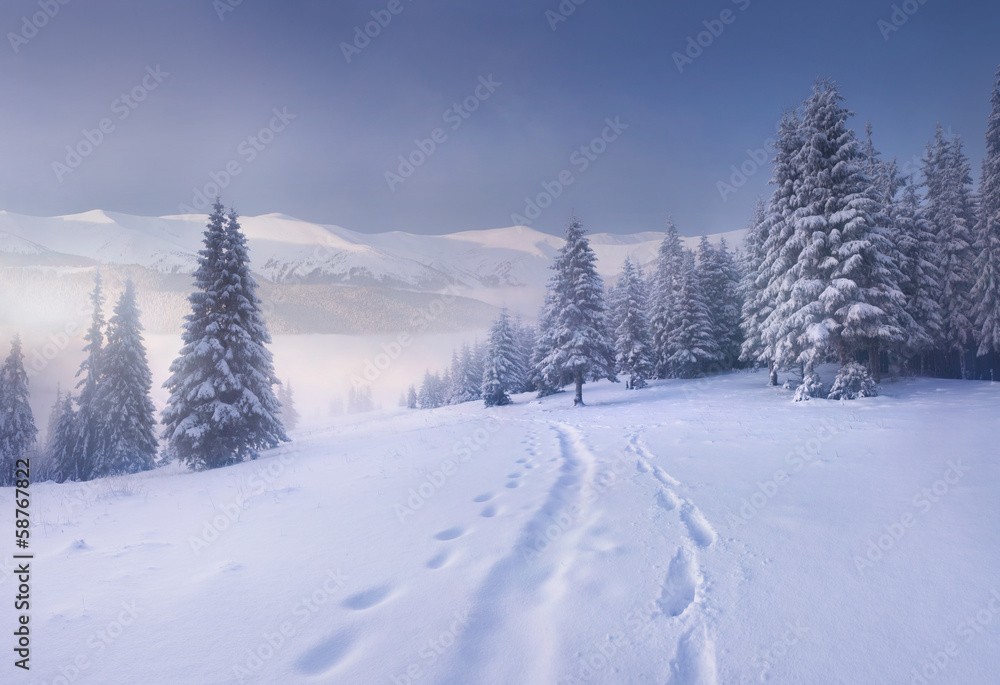 Foggy winter morning in the mountains Foggy winter morning in the mountains