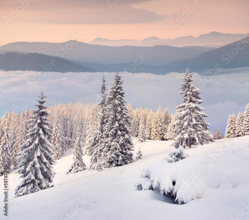 Wallpaper Mural Beautiful winter morning in the mountain Torontodigital.ca