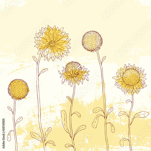 Fototapeta Naklejka Na Ścianę i Meble -  Yellow sunflower on Watercolor background.