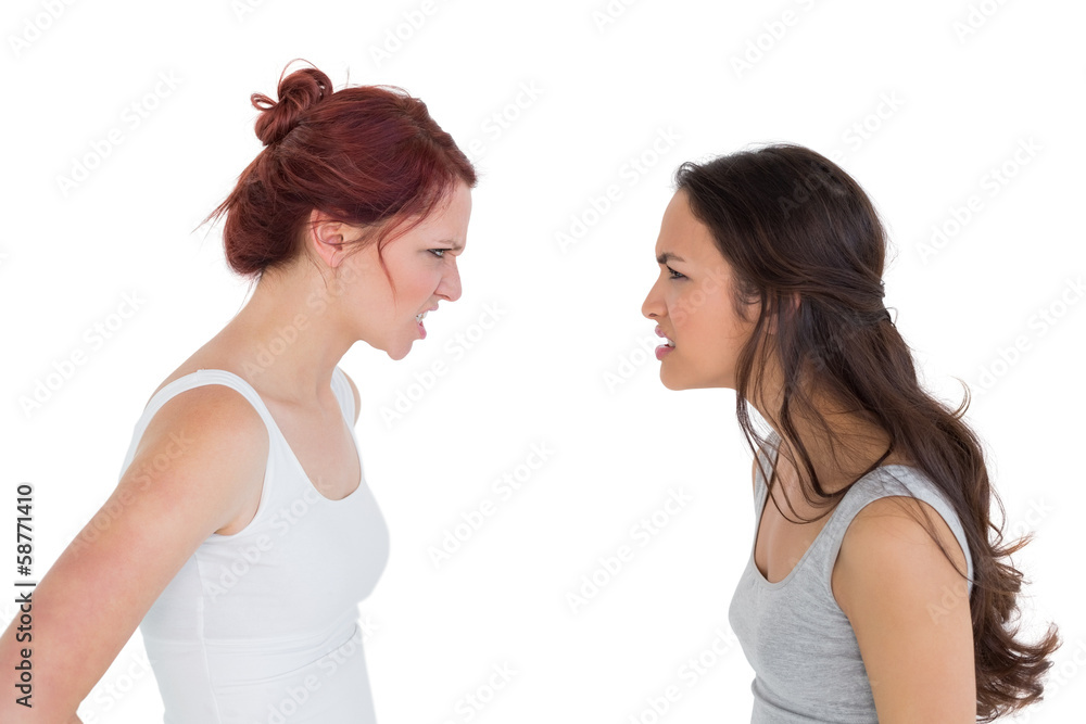 Angry young female friends having an argument Angry young female friends having an argument