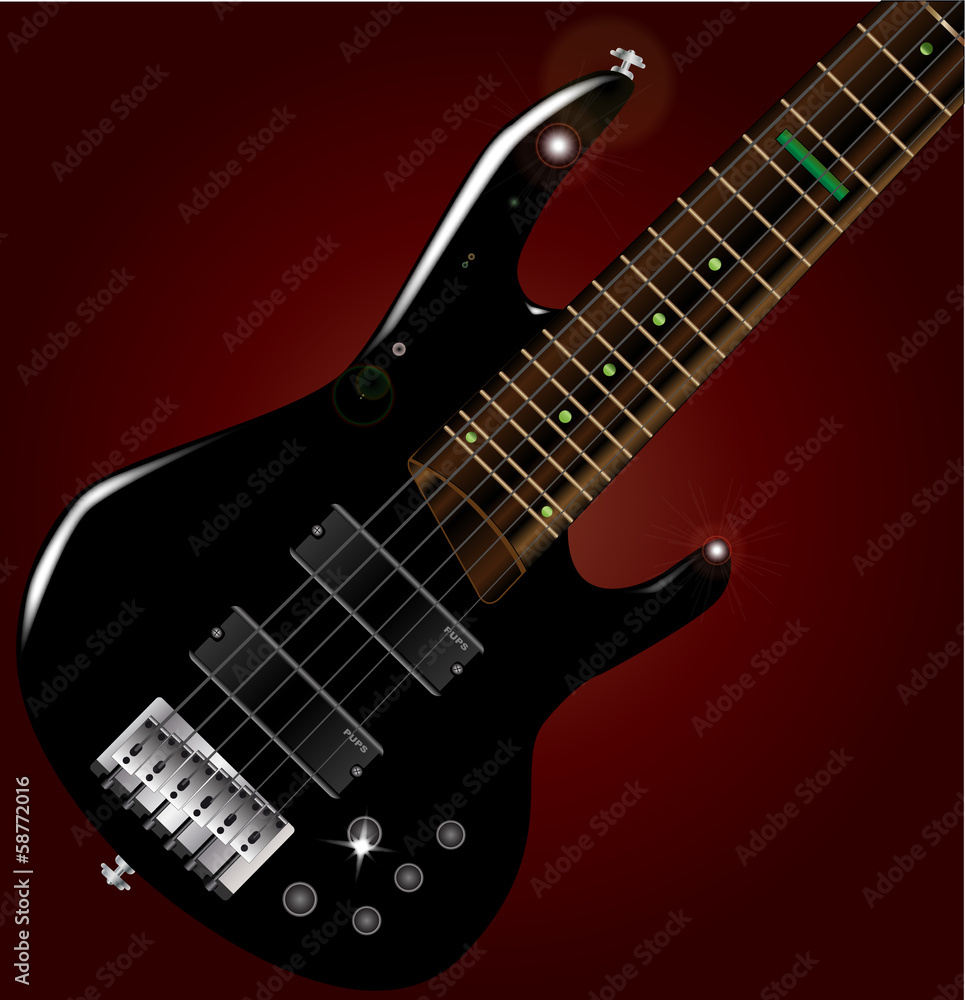 Fototapeta premium Bass Close Up