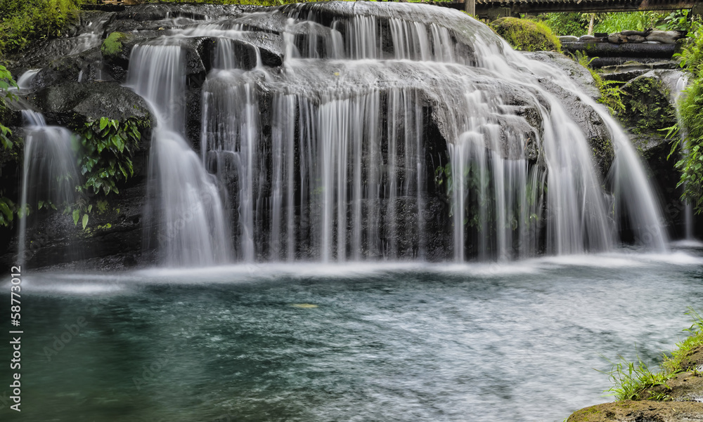 Naklejka premium Forest Curtain Waterfall