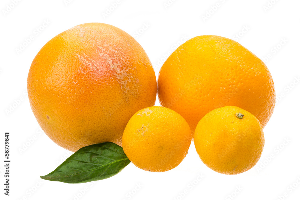 Grapefruit, tangerin and orange Grapefruit, tangerin and orange