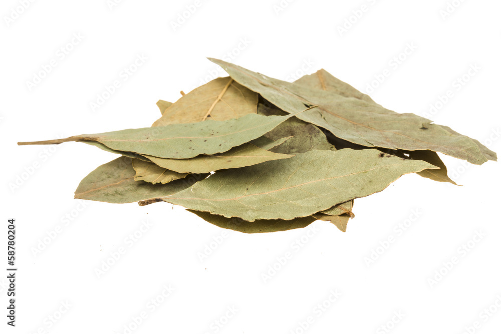 Laurel leaves