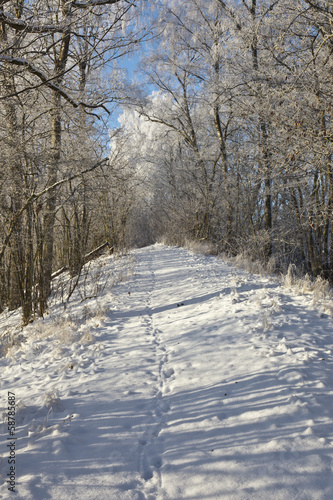 Winter path © Lars Johansson