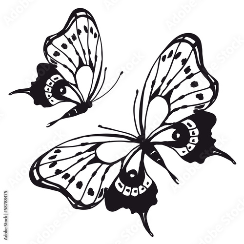 butterflies design