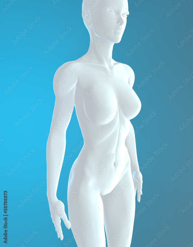 Donna corpo umano anatomia bianco Donna corpo umano anatomia bianco