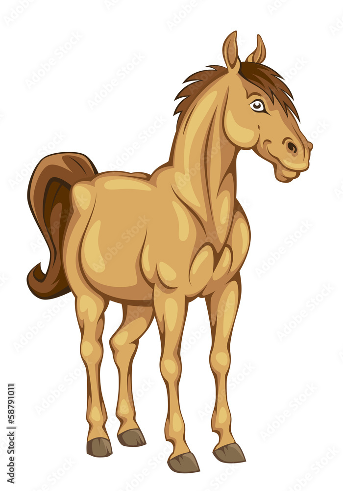 Funny pony Funny pony