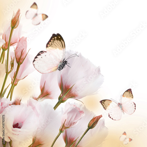 Bouquet of pink roses and butterfly, floral background