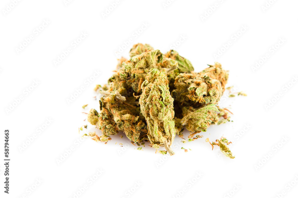 Marihuana isolated on white background Marihuana isolated on white background