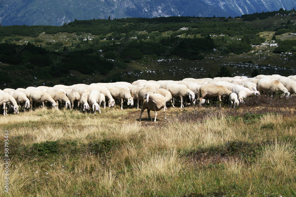 Dolomites