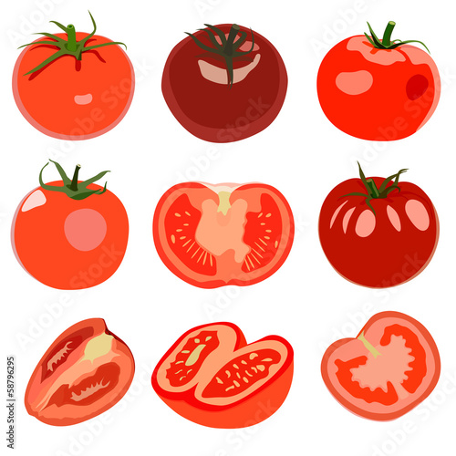 Set of Tomato. Isolated on white