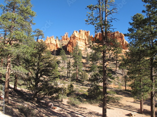 Bryce Canyon et forêt
