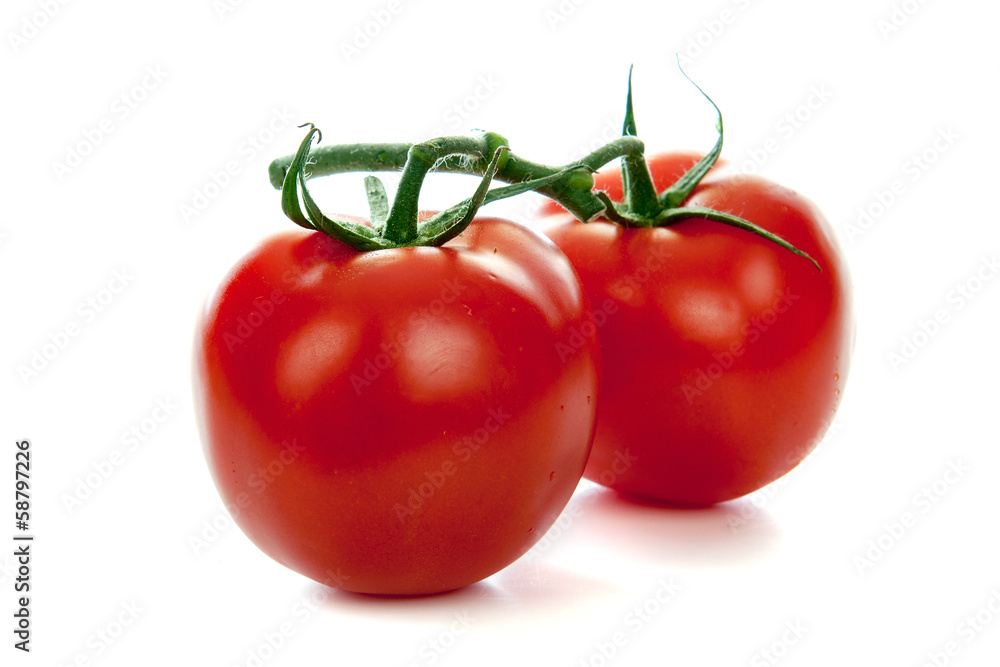 Tomato Tomato