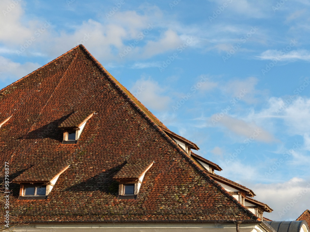 Steildach mit Dachgauben
