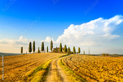 Tuscany, farmland, cypress trees and road. Siena, Italy.