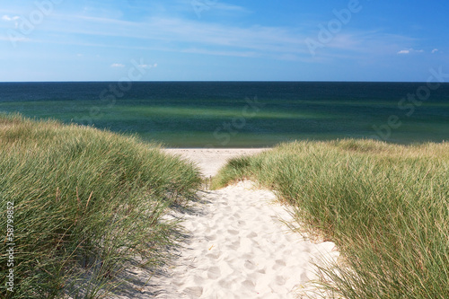 Weg zum Strand durch D  nen bei Kampen auf Sylt