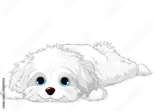 White Puppy