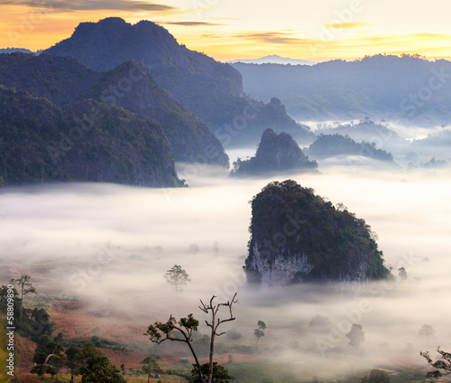 sunshine on the morning mist at Phu Lang Ka, Phayao, Thailand