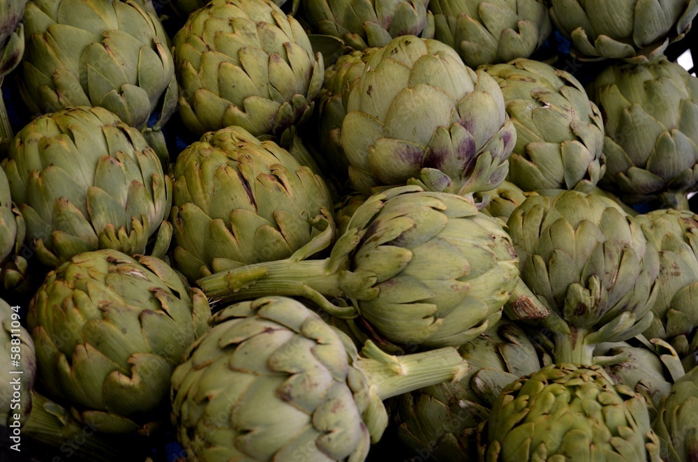 Fototapeta premium Artichokes