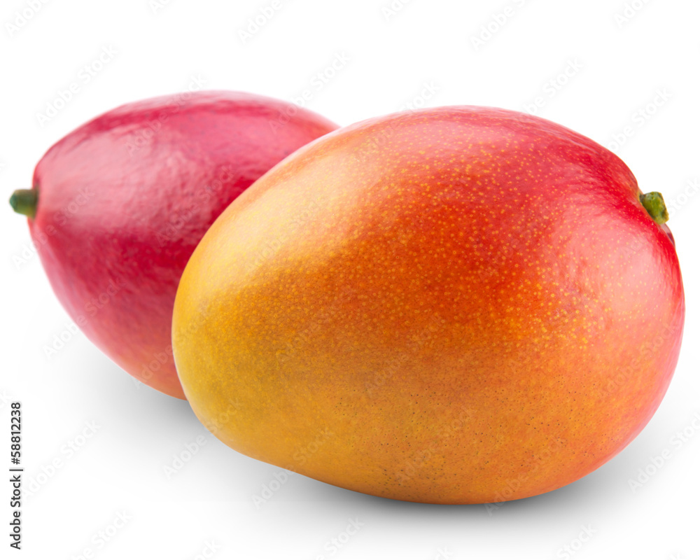 Mango Mango