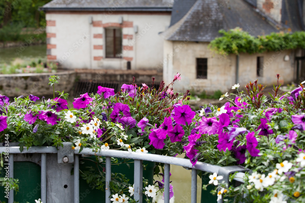 Old Country house in Azay le Rideau, France