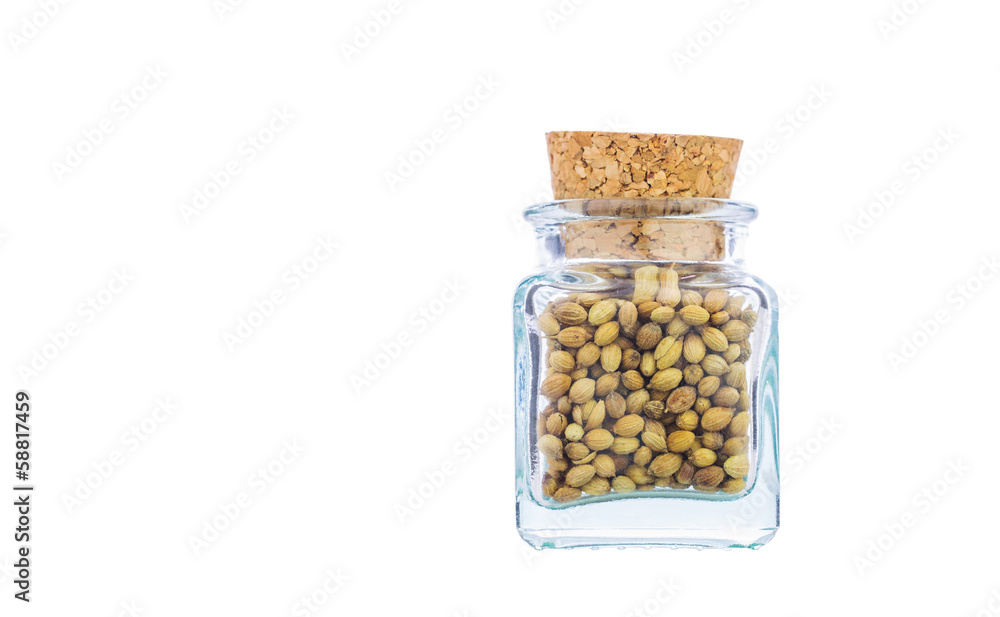 Coriander or cilantro seed spices in a small corked bottle Coriander or cilantro seed spices in a small corked bottle
