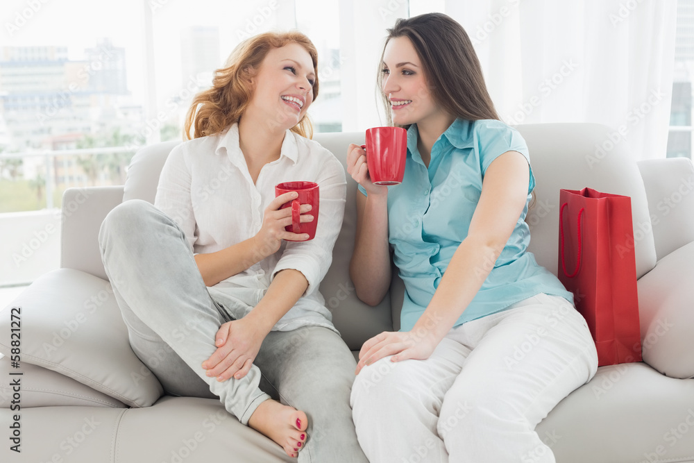 Fototapeta premium Female friends with coffee cups conversing at home