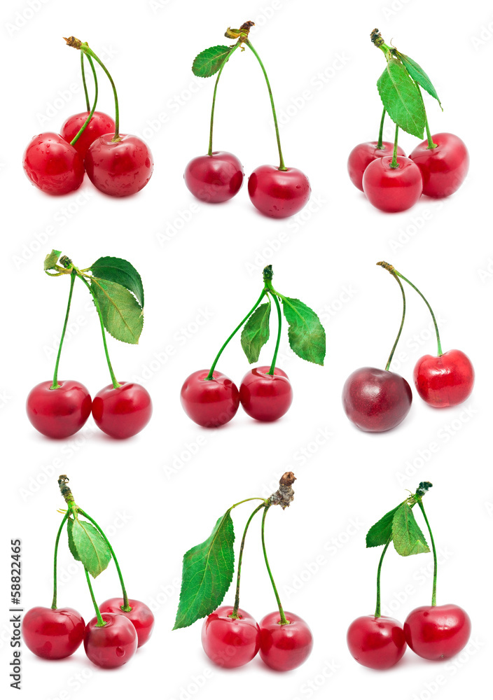 Cherry Cherry