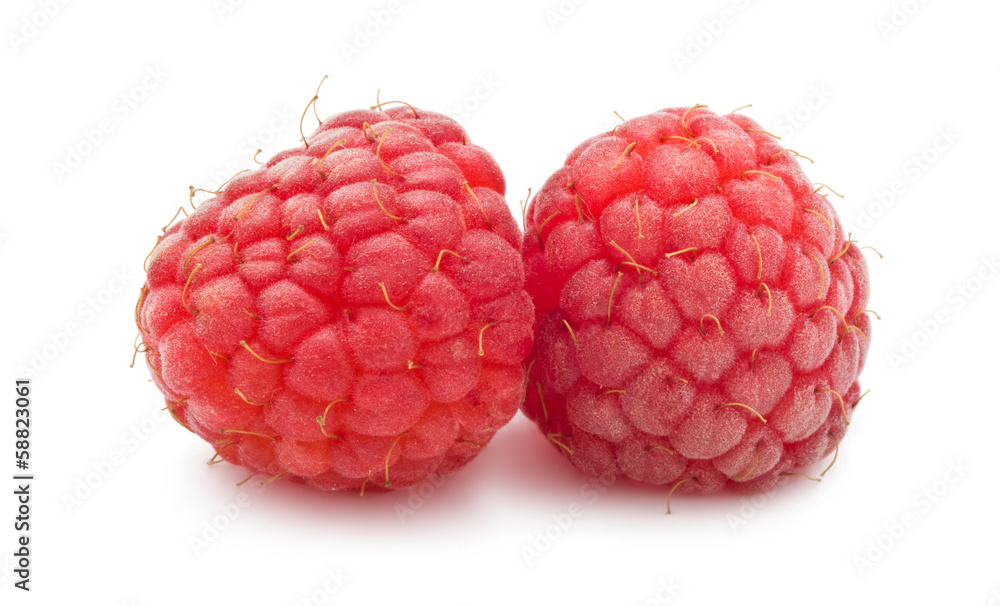 Fresh raspberries Fresh raspberries