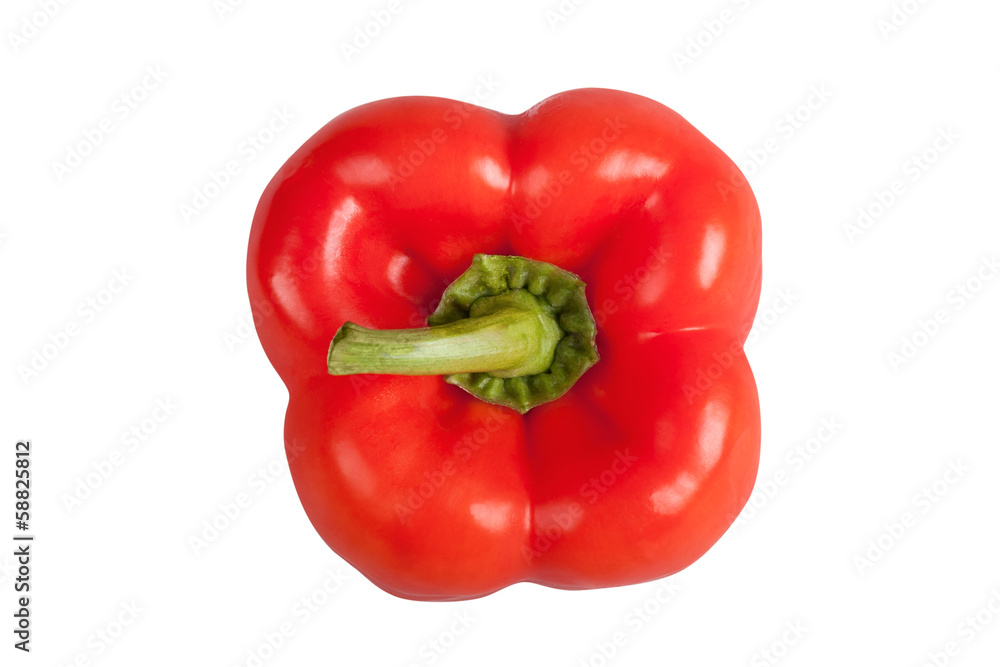 red paprika isolated on white background with clipping path red paprika isolated on white background with clipping path