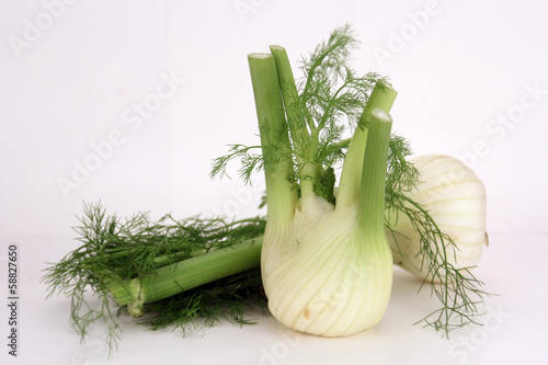 fenchel