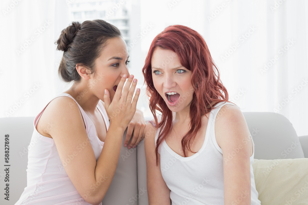 Young female friends gossiping in the living room Young female friends gossiping in the living room