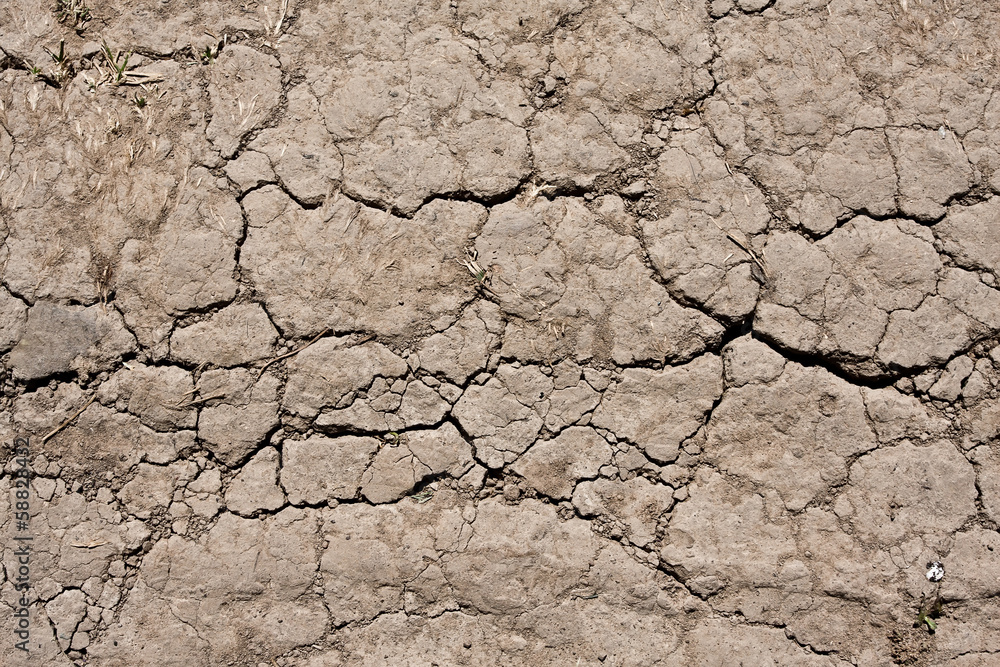 Fototapeta premium Dry land