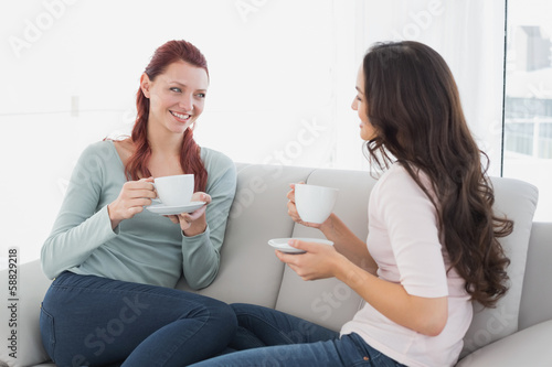 Female friends enjoying a chat over coffee at home