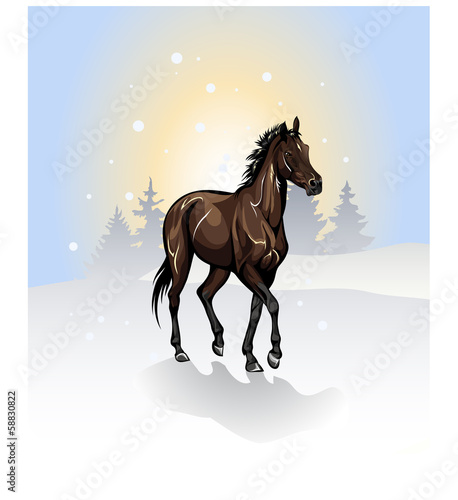 bay horse in the winter wood