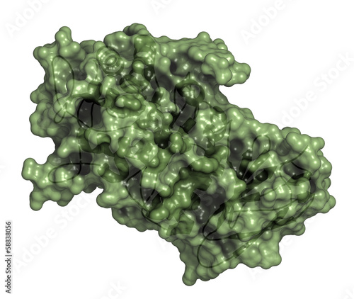 Alpha-galactosidase (Agalsidase) enzyme. Cause of Fabry's diseas photo