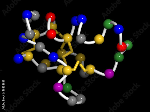 Chlorotoxin scorpion toxin. Deathstalker scorpion peptide toxin. photo