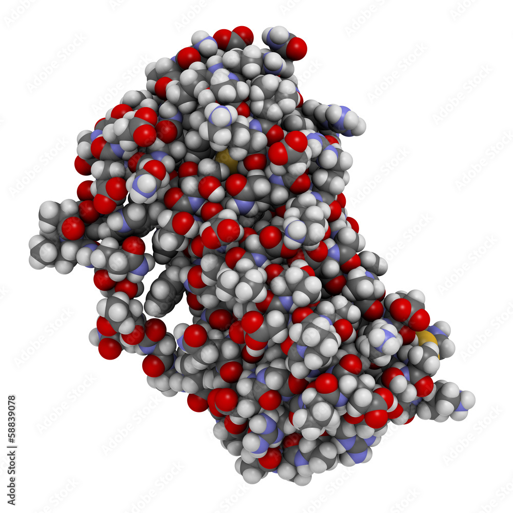 Granulocyte colony-stimulating factor (GCSF, filgrastim) Granulocyte colony-stimulating factor (GCSF, filgrastim)