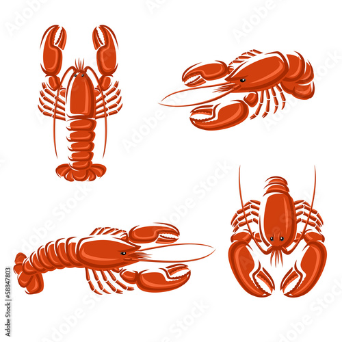 Lobster set. Vector