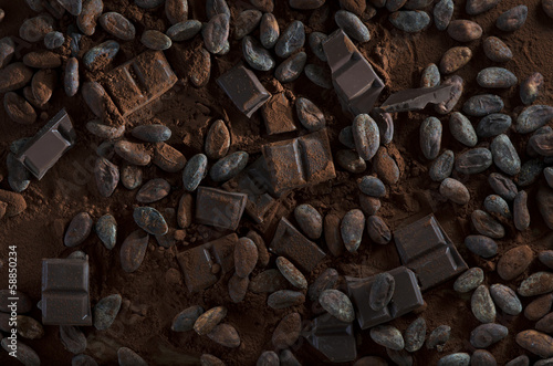 Schokolade mit Kakaobohnen und Kakaopulver