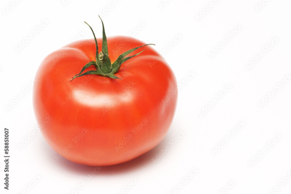 Tomato, vegetable on a white background Tomato, vegetable on a white background