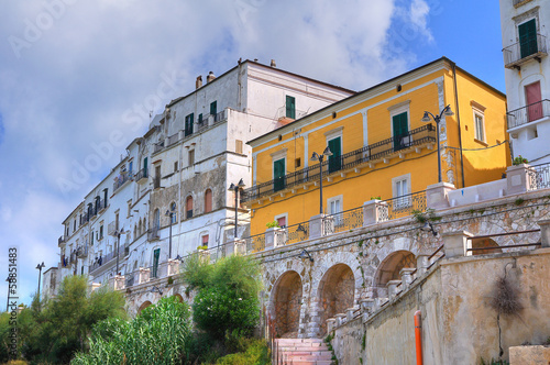 Panoramic view of Rodi Garganico. Puglia. Italy.