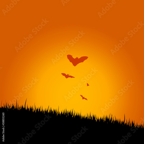 bat in the nature vector illustration
