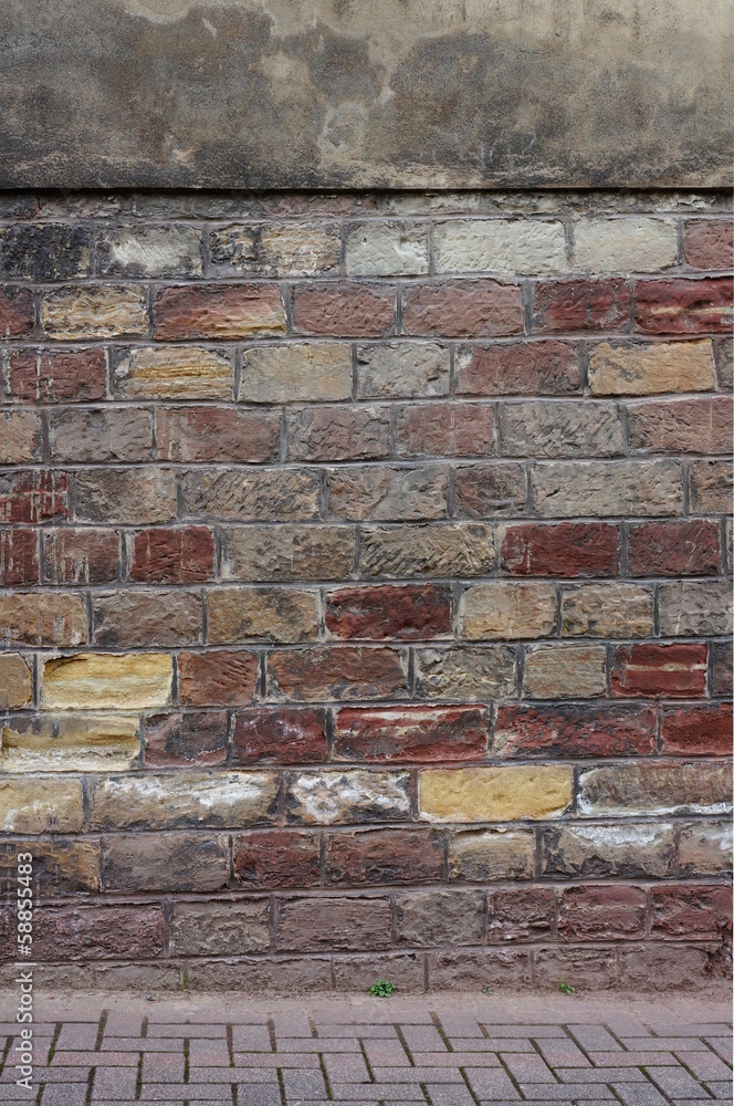 Buntsandsteinwand mit Pionierpflanze Buntsandsteinwand mit Pionierpflanze