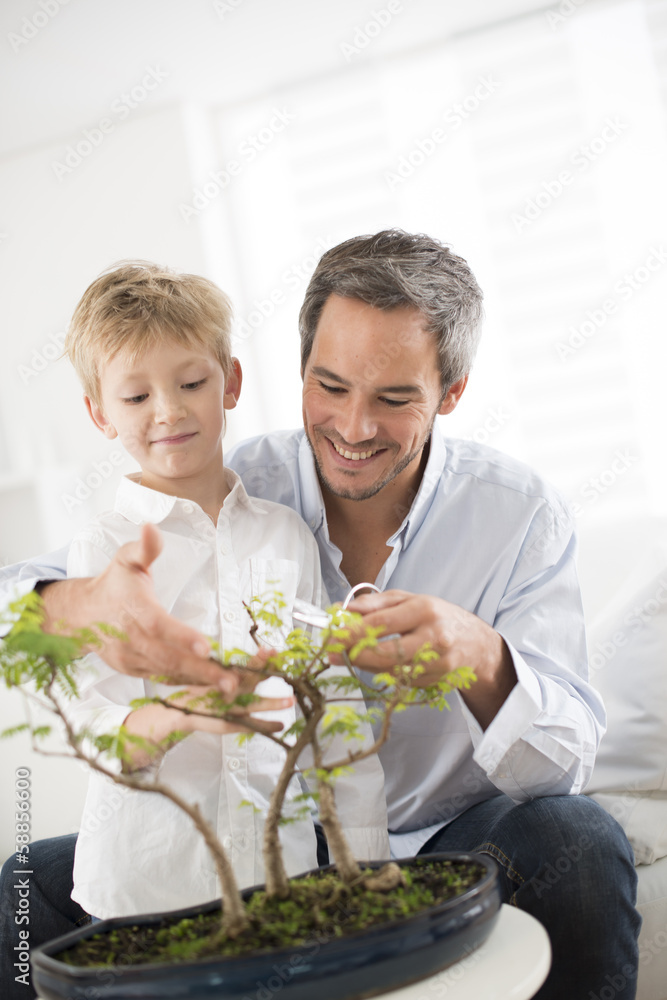 father teaching his son to take care of a bonsai
