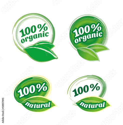 natural & organic leaf icon vector