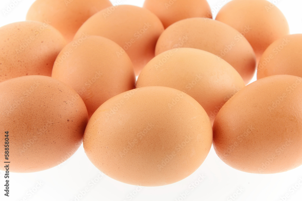 uova di gallina isolate su sfondo bianco uova di gallina isolate su sfondo bianco